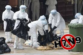 Вирус гриппа птиц А/H7N9